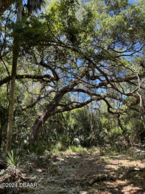 2014 CREEK SHORE TRL, NEW SMYRNA BEACH, FL 32168, photo 5 of 5