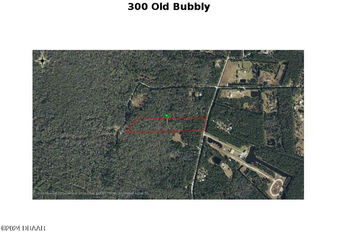 300 OLD BUBBLY RD, PIERSON, FL 32180, photo 1 of 5